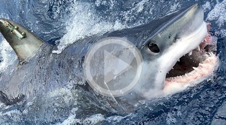 east-coast-adventures-extremevideo.jpg