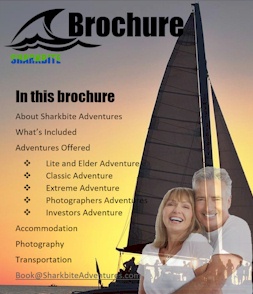 Download the Brochure